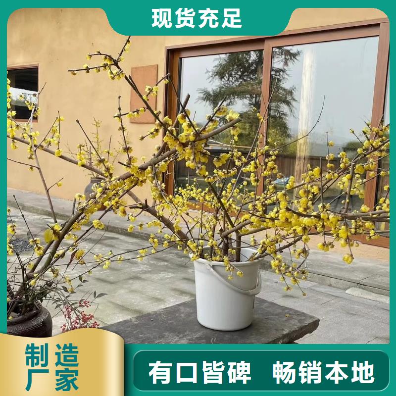 仿夯土肌理漆源頭工廠，批發(fā)價(jià)，可施工