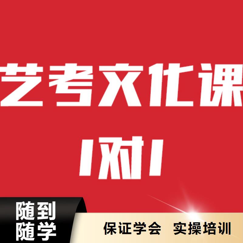 藝考文化課高考復讀晚上班理論+實操