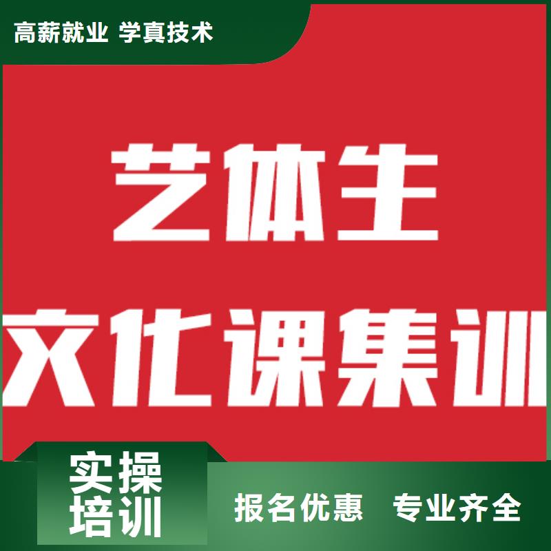 藝考生文化課【藝考培訓機構】理論+實操