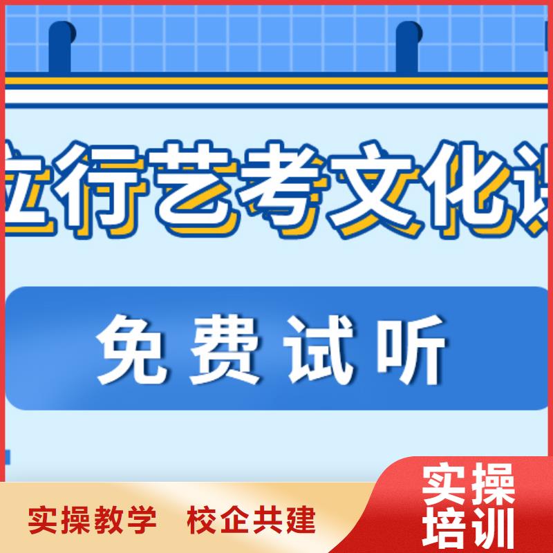 藝考文化課_高考語(yǔ)文輔導(dǎo)理論+實(shí)操