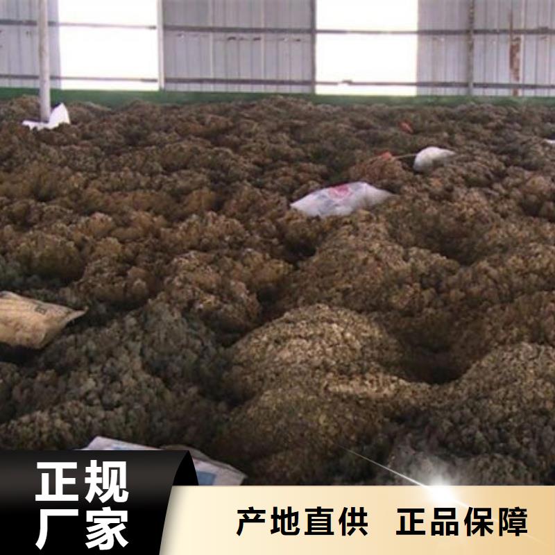 含銅泥,【太陽能光伏板回收】專業團隊