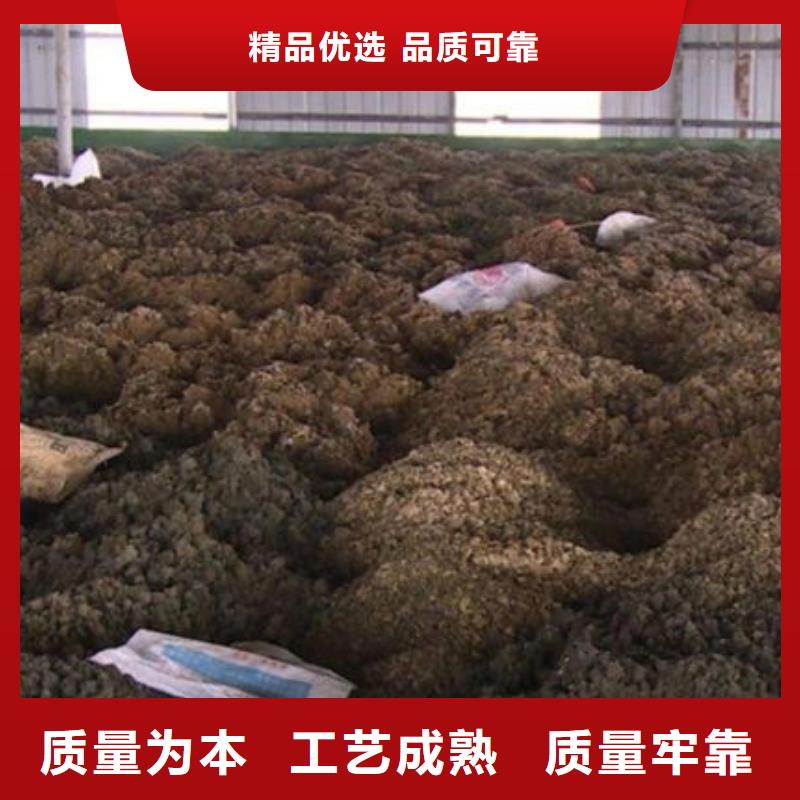 含銅泥回收光伏板批量回收