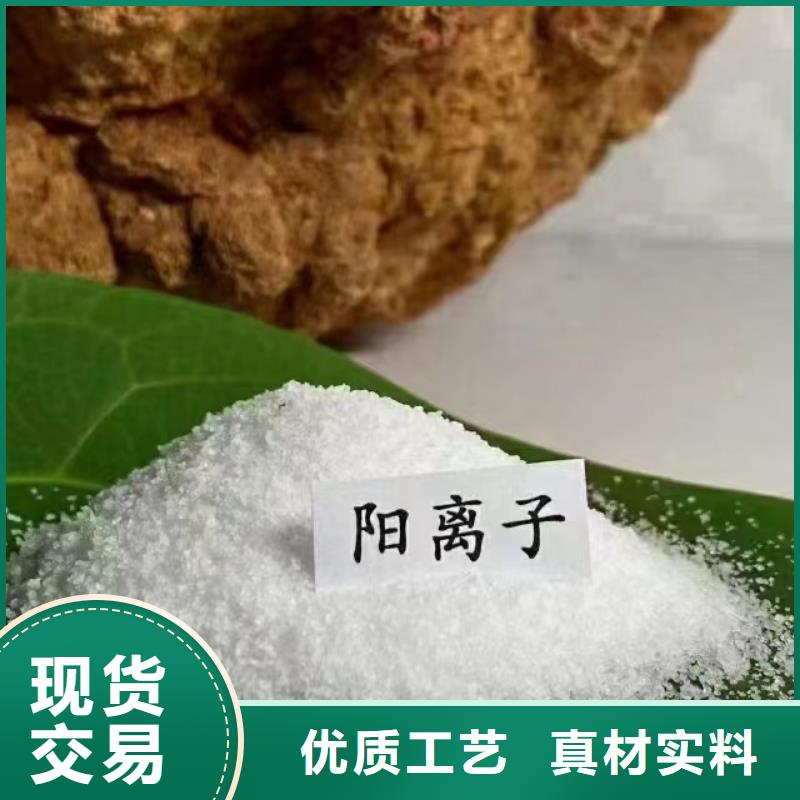 聚丙烯酰胺PAM非離子多年經驗值得信賴