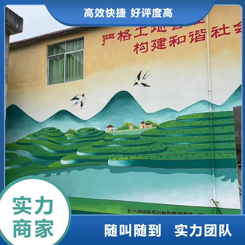 墻繪壁畫手繪涂鴉繪畫團(tuán)隊(duì)