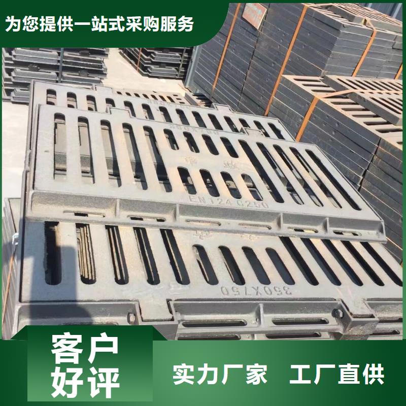 復(fù)合塑料雨篦子圖集圖片建通鑄造廠家