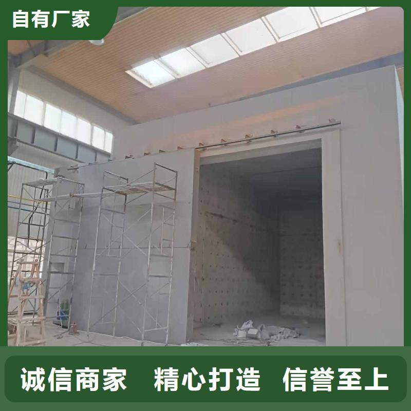探傷室防護門極速發貨