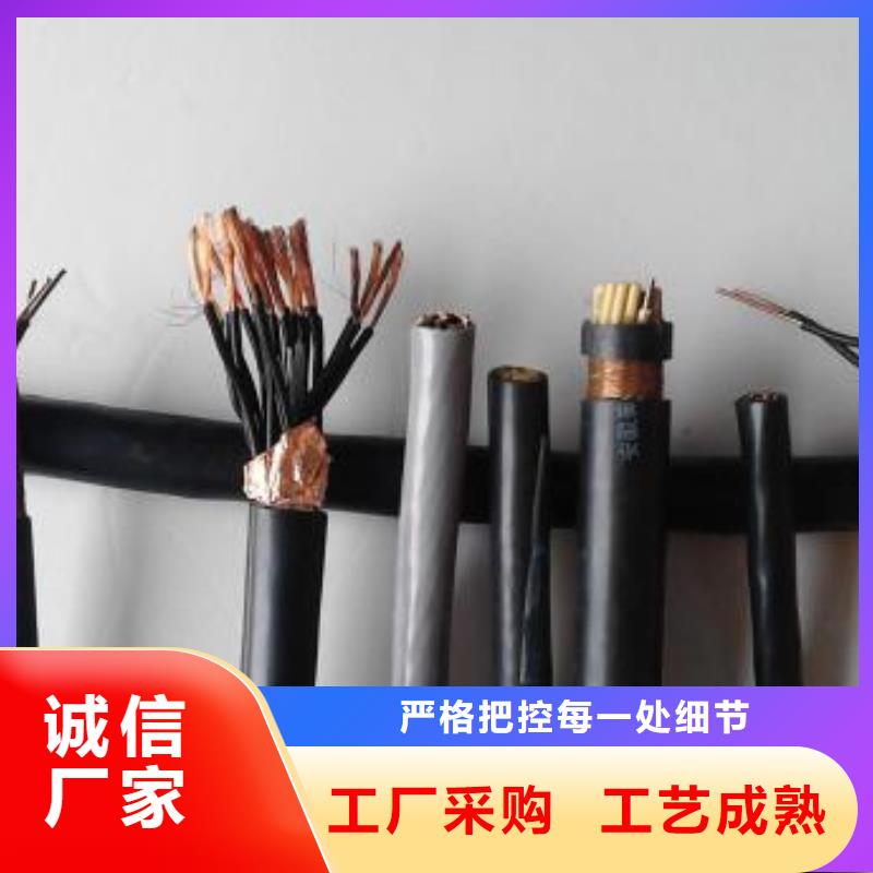 電線電纜【RS485電纜】定金鎖價