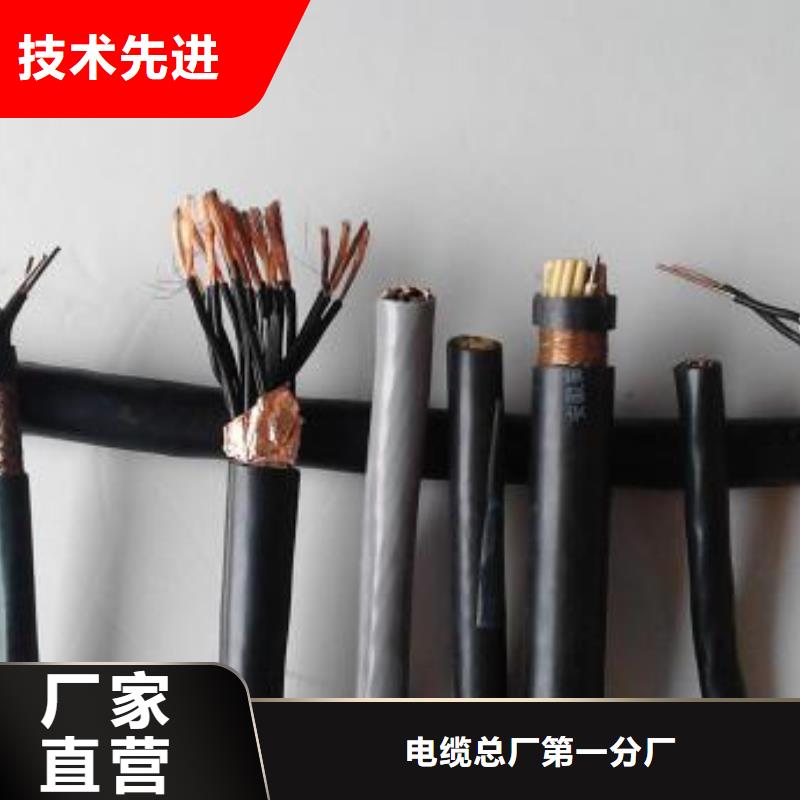 電線電纜RS485電纜工廠現(xiàn)貨供應(yīng)