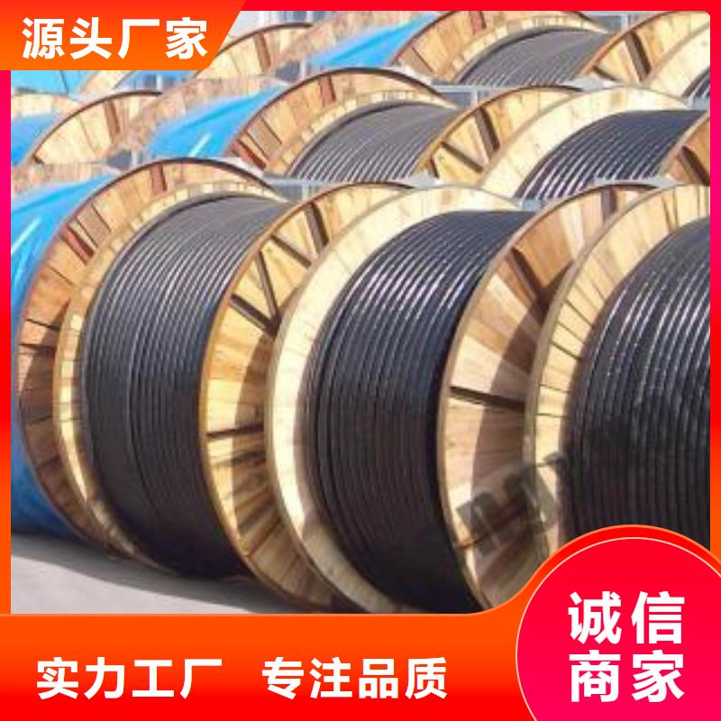 電線電纜HYA22電纜廠家實(shí)力雄厚