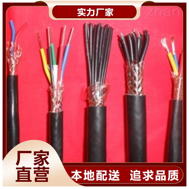 電線電纜PTYA23電纜品種全