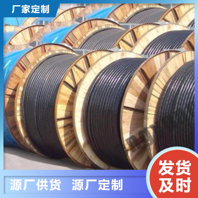 電線電纜PTYA23電纜注重細節