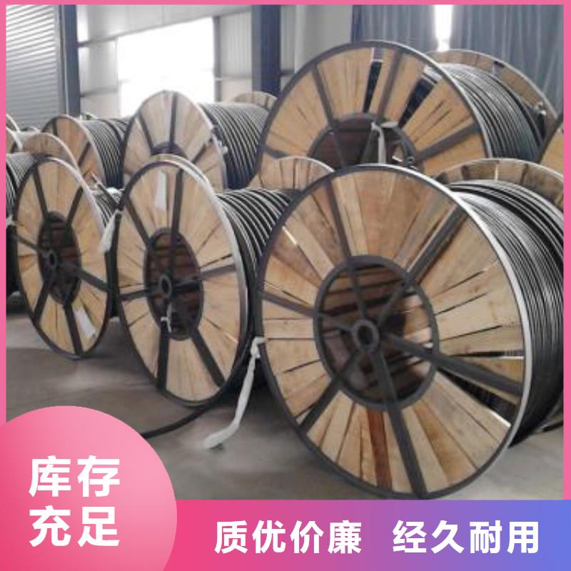 電線電纜DJYVP電纜有實力有經驗