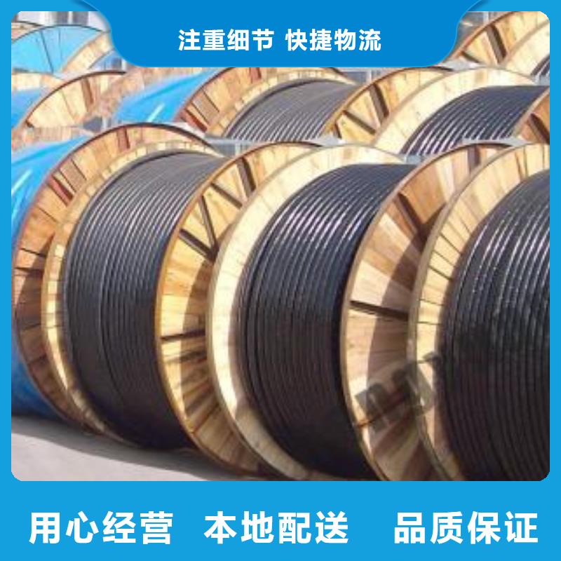 電線電纜PTYA23電纜注重細節