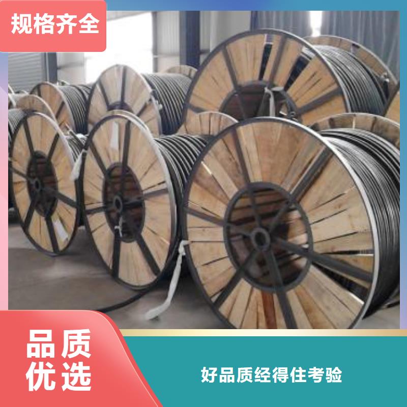 電線電纜PTYA23電纜源頭廠家來圖定制
