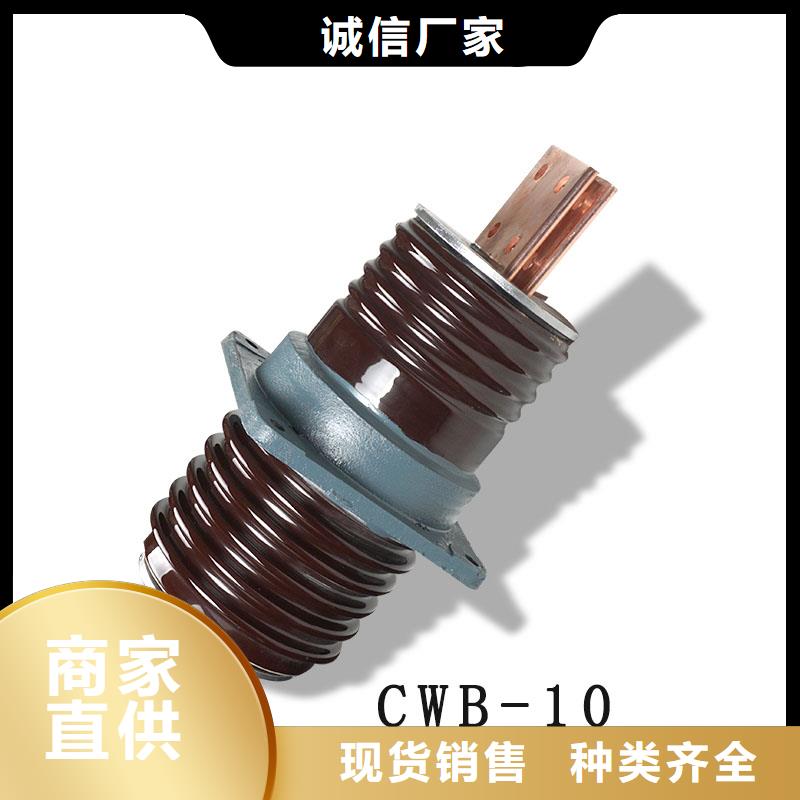CWWB-40.5/1250A高压套管说明
