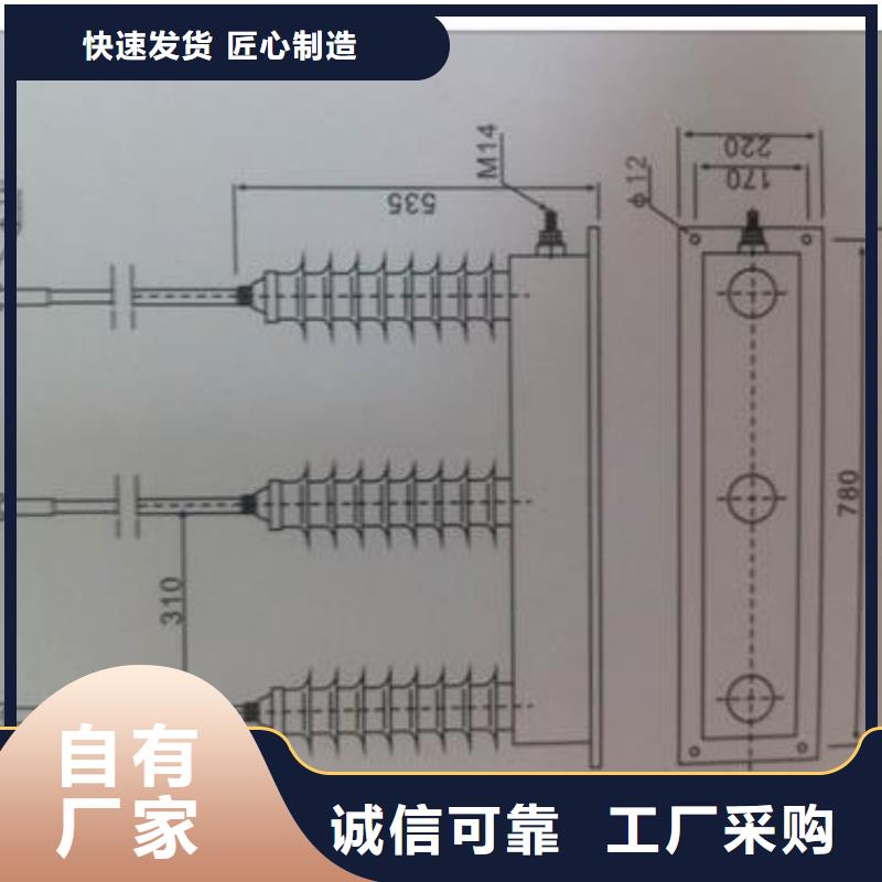 【樊高】组合式避雷器TBP-B-12.7/131-J保质期