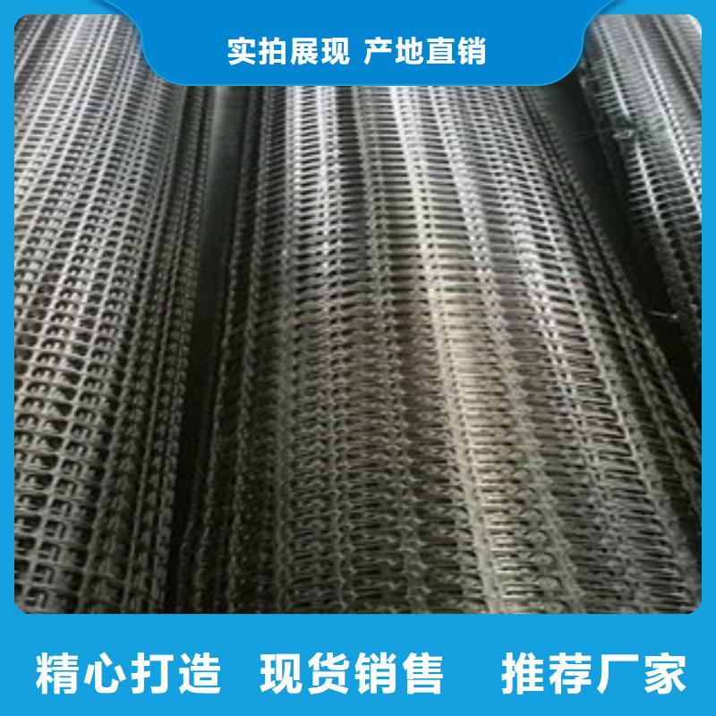 雙向塑料格柵-【防裂貼抗裂貼】歡迎來電咨詢