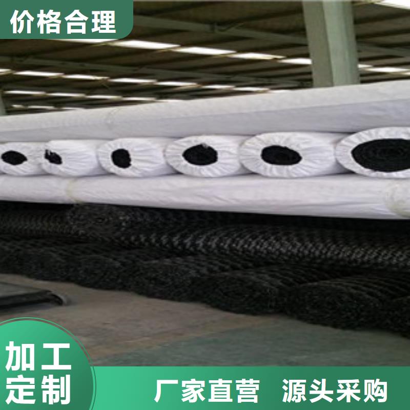 雙向塑料格柵-【防裂貼抗裂貼】歡迎來電咨詢