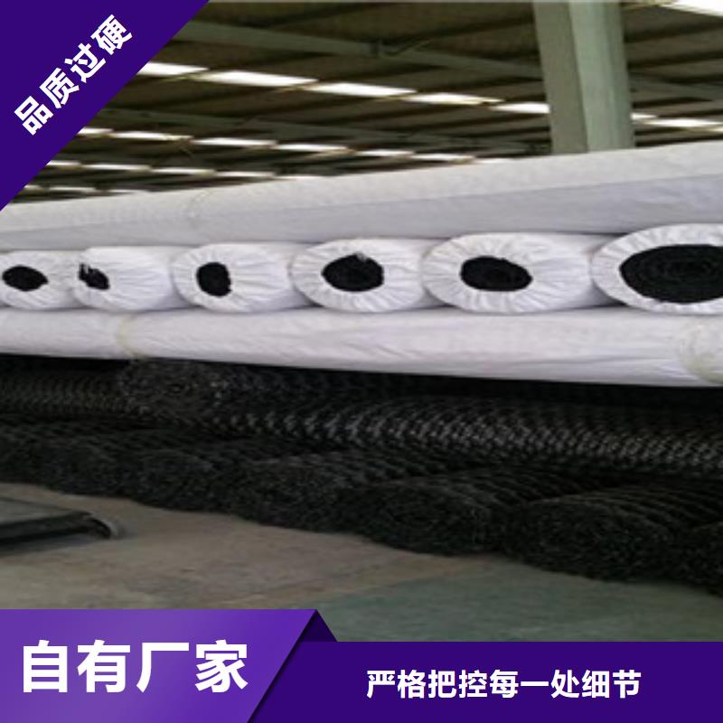 雙向塑料格柵-膨潤土防水毯歡迎新老客戶垂詢