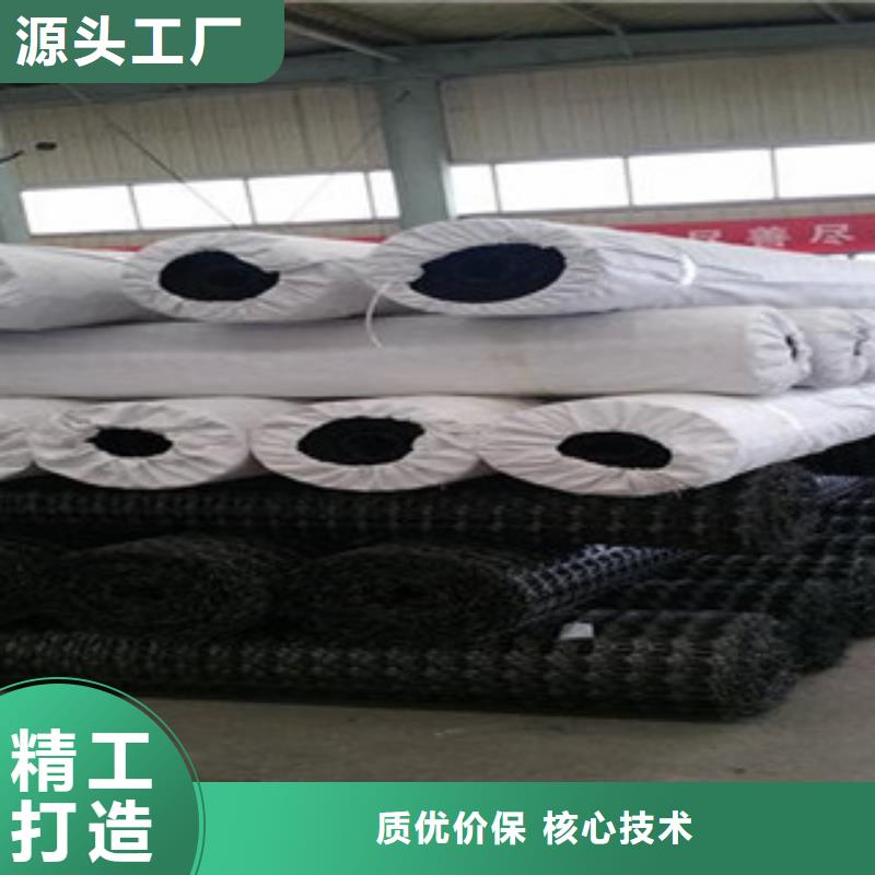 雙向塑料格柵塑料土工格柵買的放心