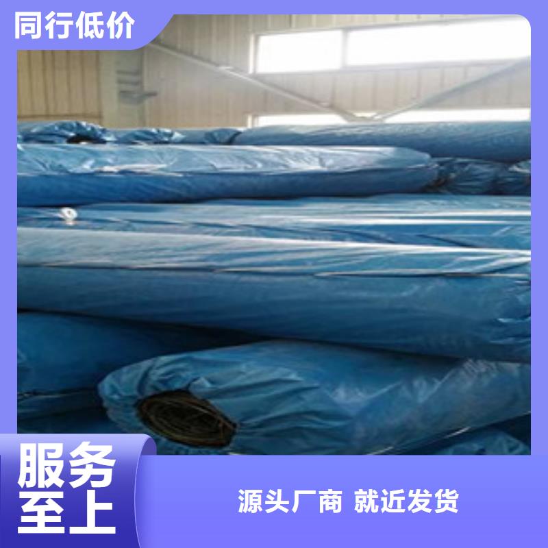 雙向塑料格柵塑料土工格柵買的放心