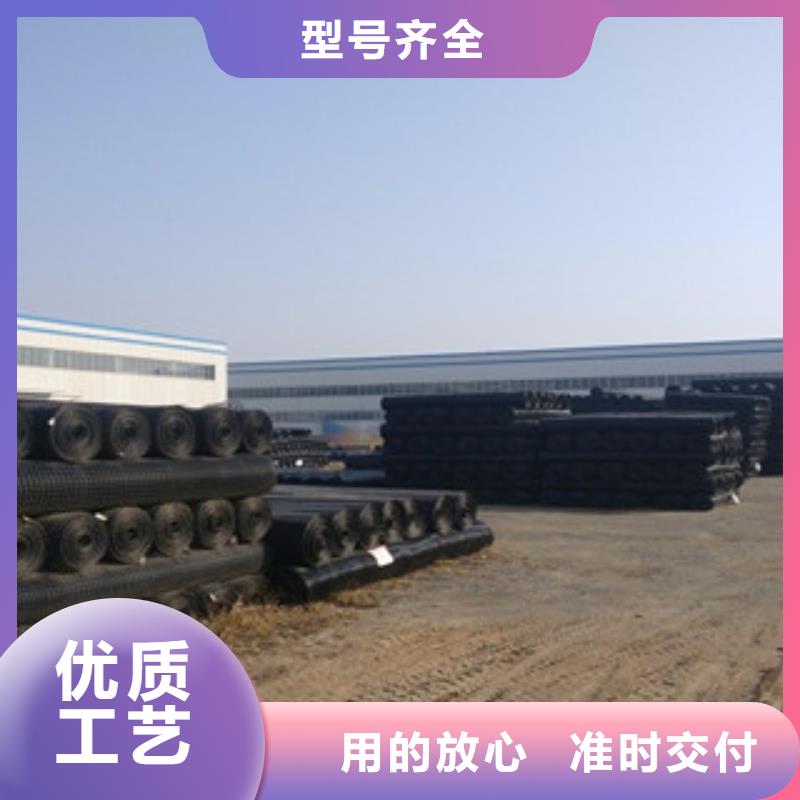 雙向塑料格柵塑料土工格柵經(jīng)銷(xiāo)商