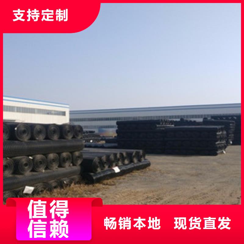 雙向塑料格柵塑料土工格柵買的放心