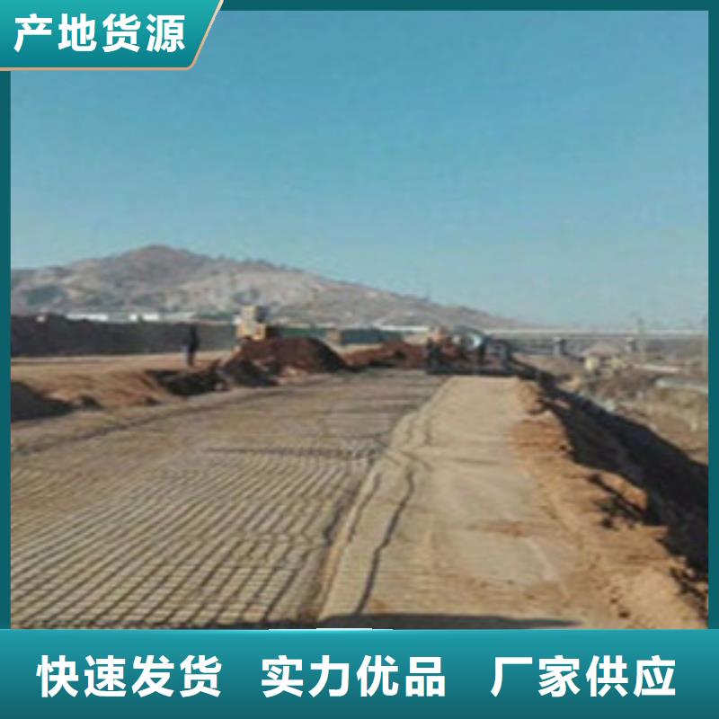 鋼塑土工格柵防裂貼抗裂貼支持大批量采購