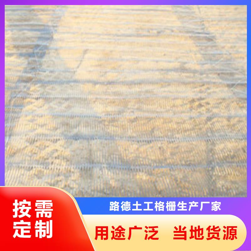 【單向塑料格柵】玻纖土工格柵定金鎖價