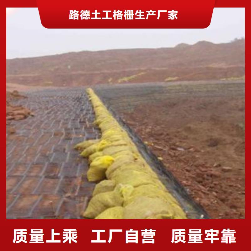 單向塑料格柵膨潤(rùn)土防水毯廠家實(shí)力雄厚