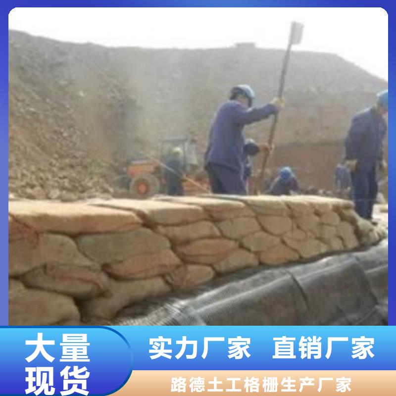 單向塑料格柵玻纖土工格柵國標(biāo)檢測放心購買