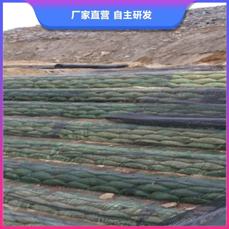 單向塑料格柵膨潤(rùn)土防水毯廠家實(shí)力雄厚