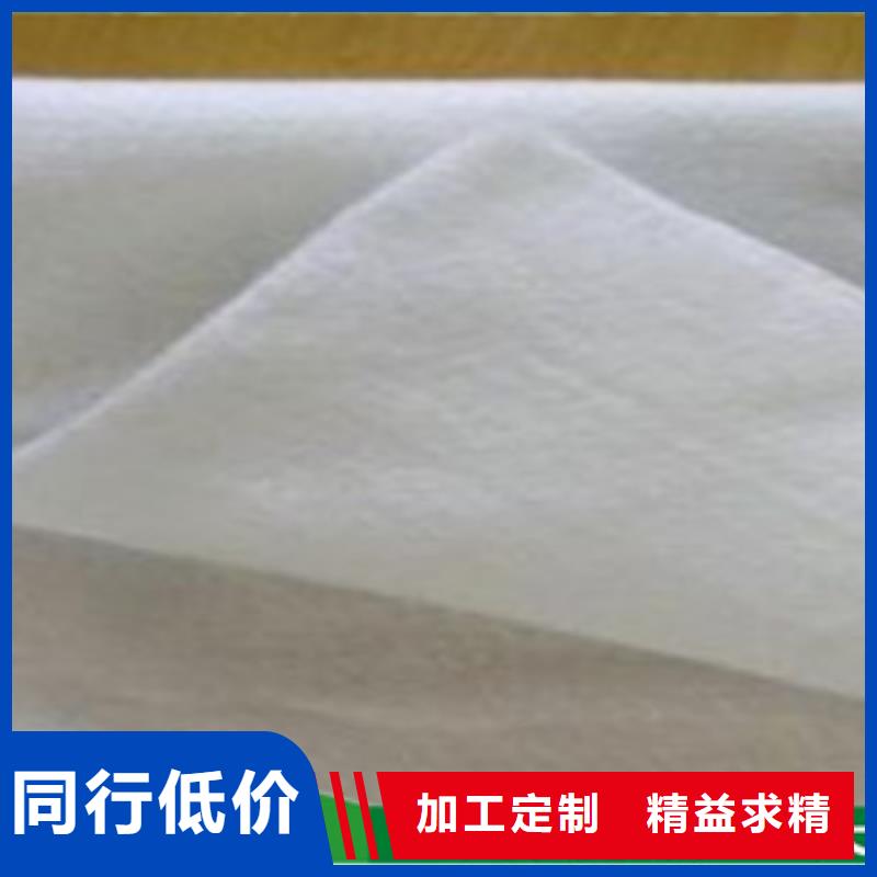 土工布玻纖土工格柵當地貨源