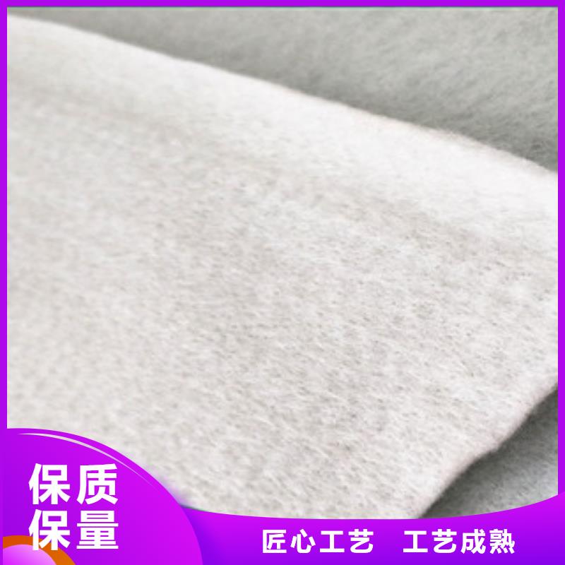 土工布塑料土工格柵可接急單