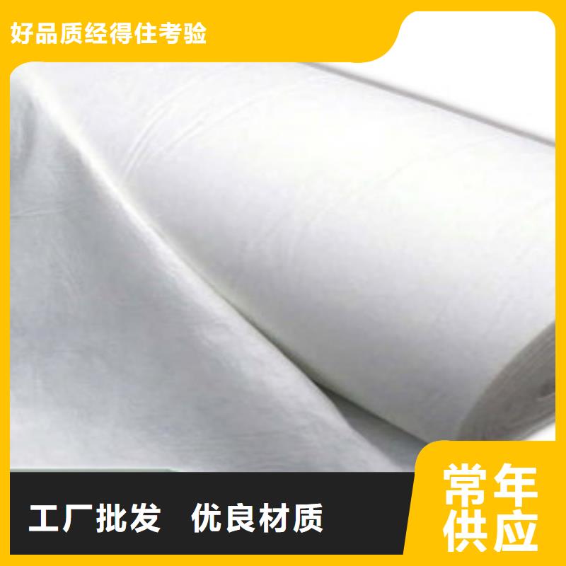 土工布膨潤土防水毯N年專注