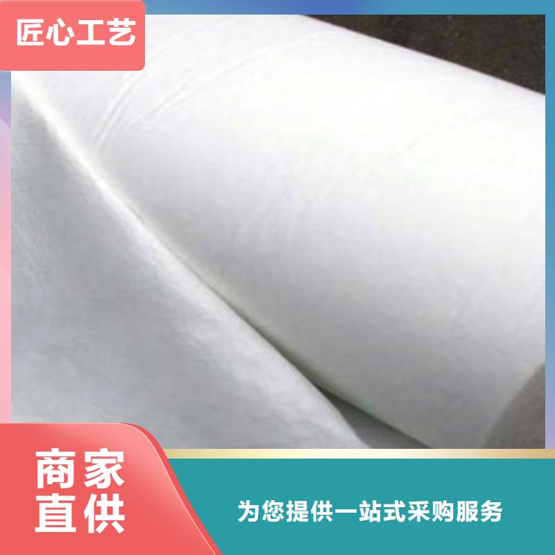 土工布玻纖土工格柵為您精心挑選