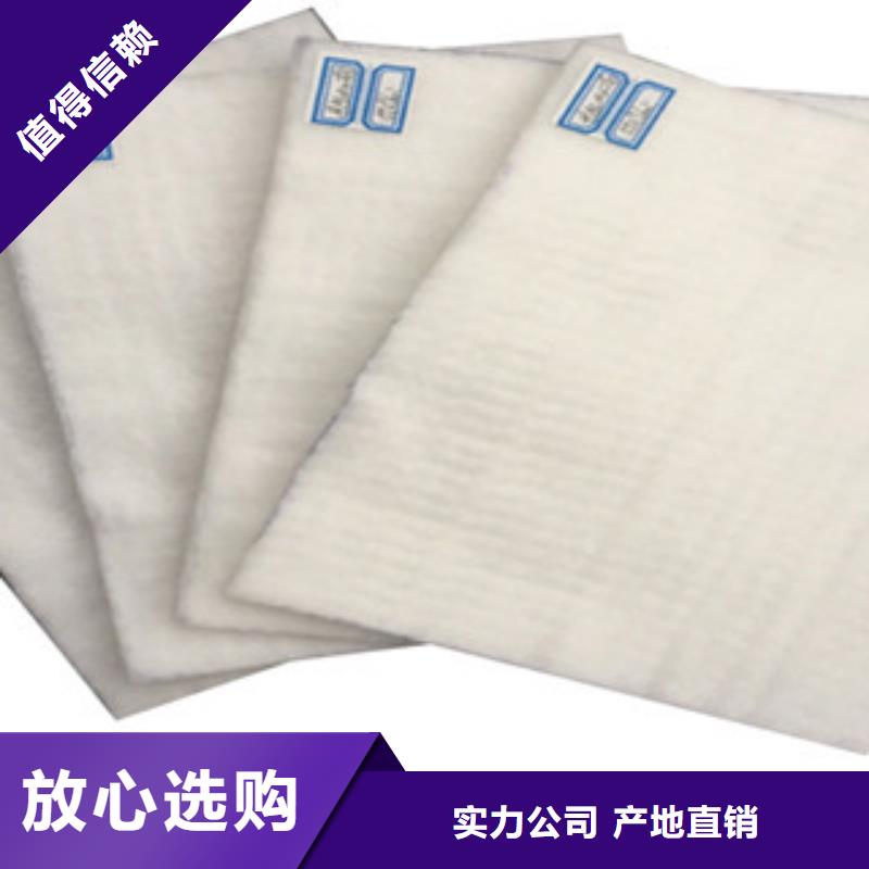 土工布_塑料土工格柵實力廠商