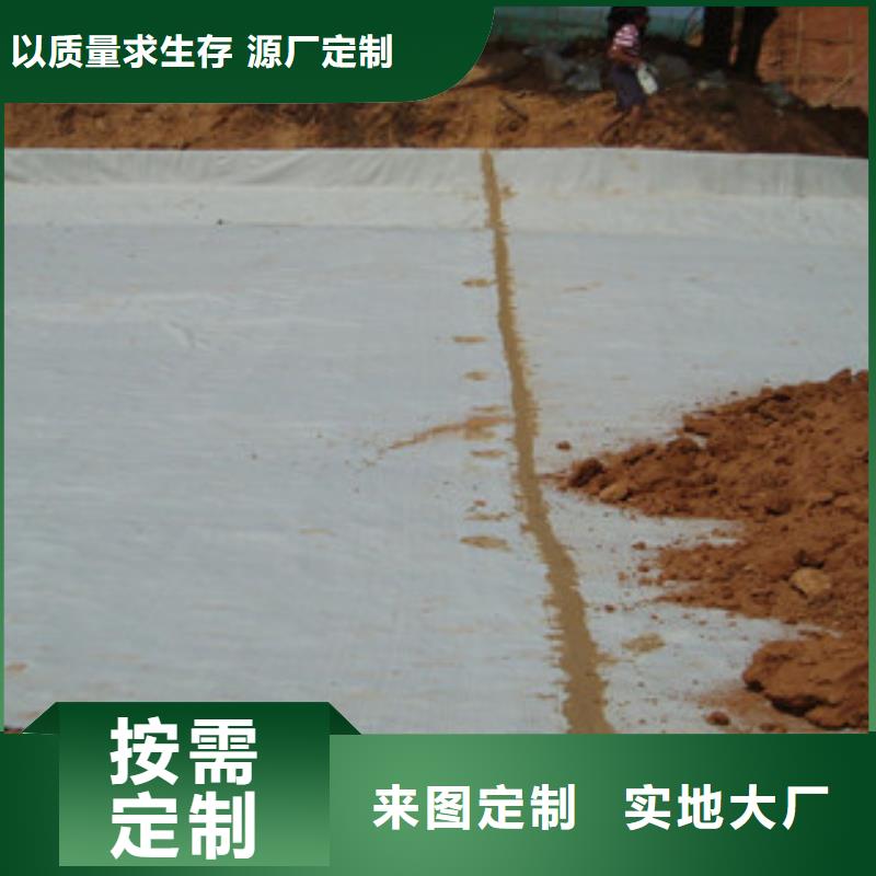 膨潤土防水毯復(fù)合土工布實力公司