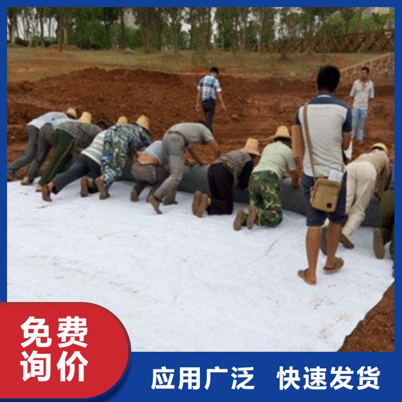 膨潤土防水毯塑料土工格柵技術先進