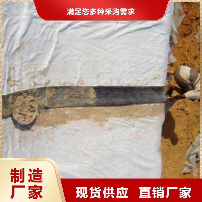 【膨潤土防水毯】高強度土工網實體廠家