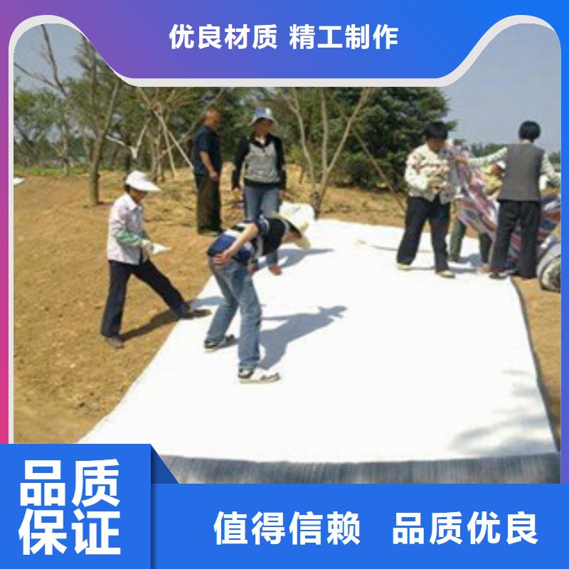 膨潤土防水毯三維植被網型號全價格低