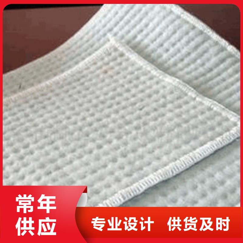【膨潤土防水毯】高強度土工網實體廠家