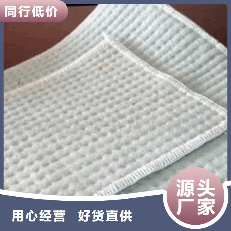 膨潤土防水毯玻纖土工格柵實力優(yōu)品