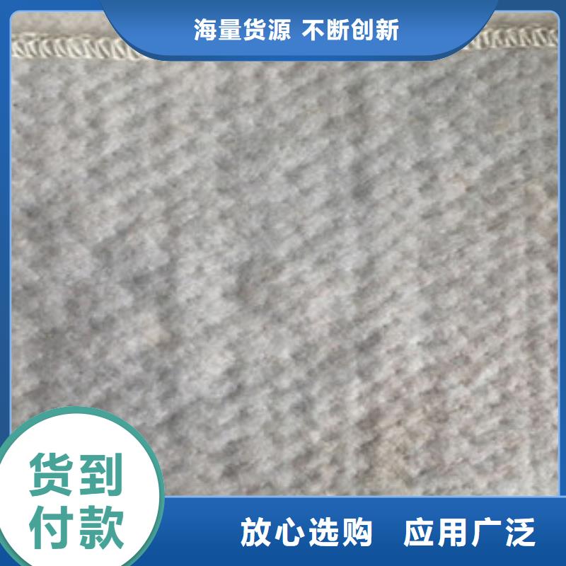 膨潤土防水毯玻纖土工格柵實力優(yōu)品