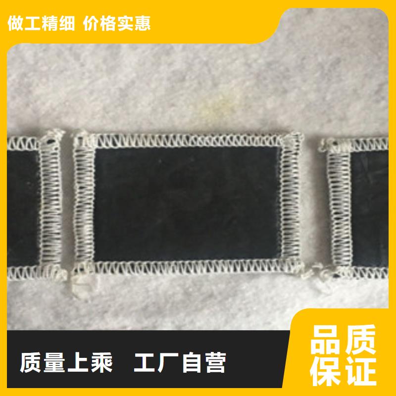 膨潤土防水毯玻纖土工格柵實力優(yōu)品