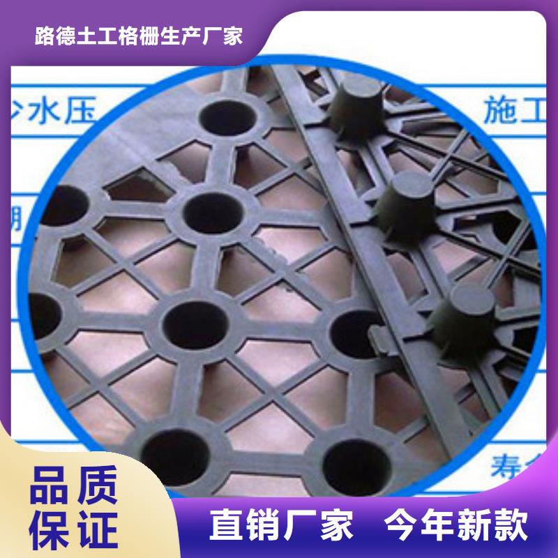 塑料排水板,【鋼塑土工格柵】質(zhì)優(yōu)價保