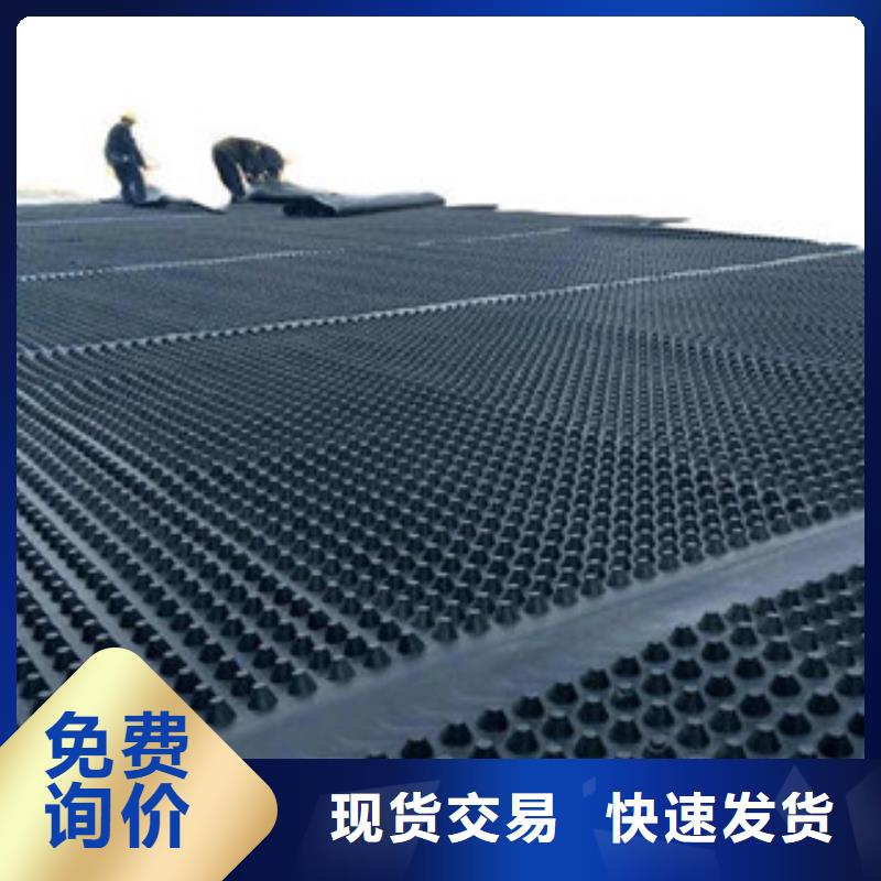 塑料排水板復合土工布高品質誠信廠家
