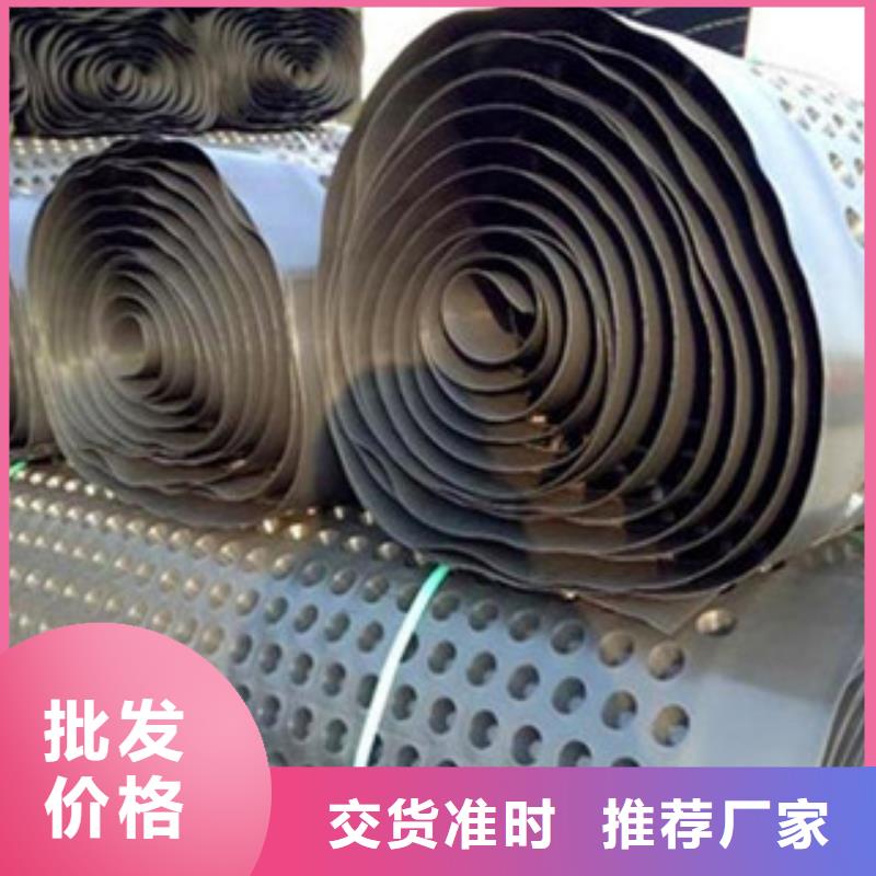 【塑料排水板,塑料土工格柵現貨快速采購】
