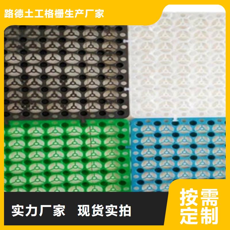 塑料排水板,玻纖土工格柵嚴格把控每一處細節