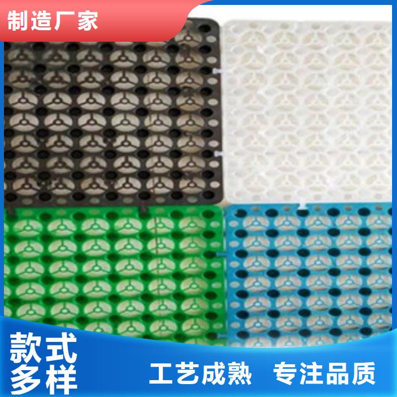 【塑料排水板】三維植被網(wǎng)價格地道